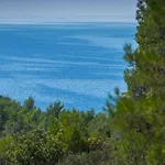 Vara Pola