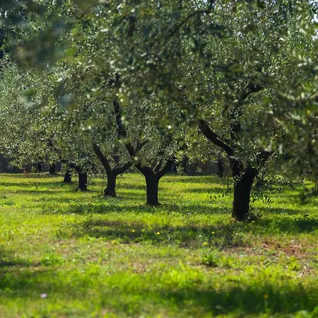 Vara Сasa de vacaciones