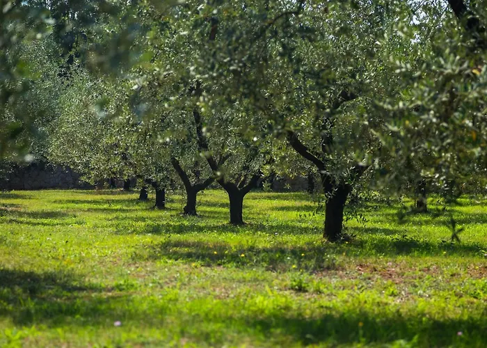 Vara בית נופש